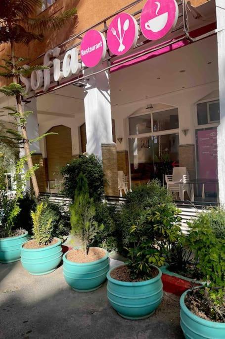 מרקש Riad Nekhla מראה חיצוני תמונה
