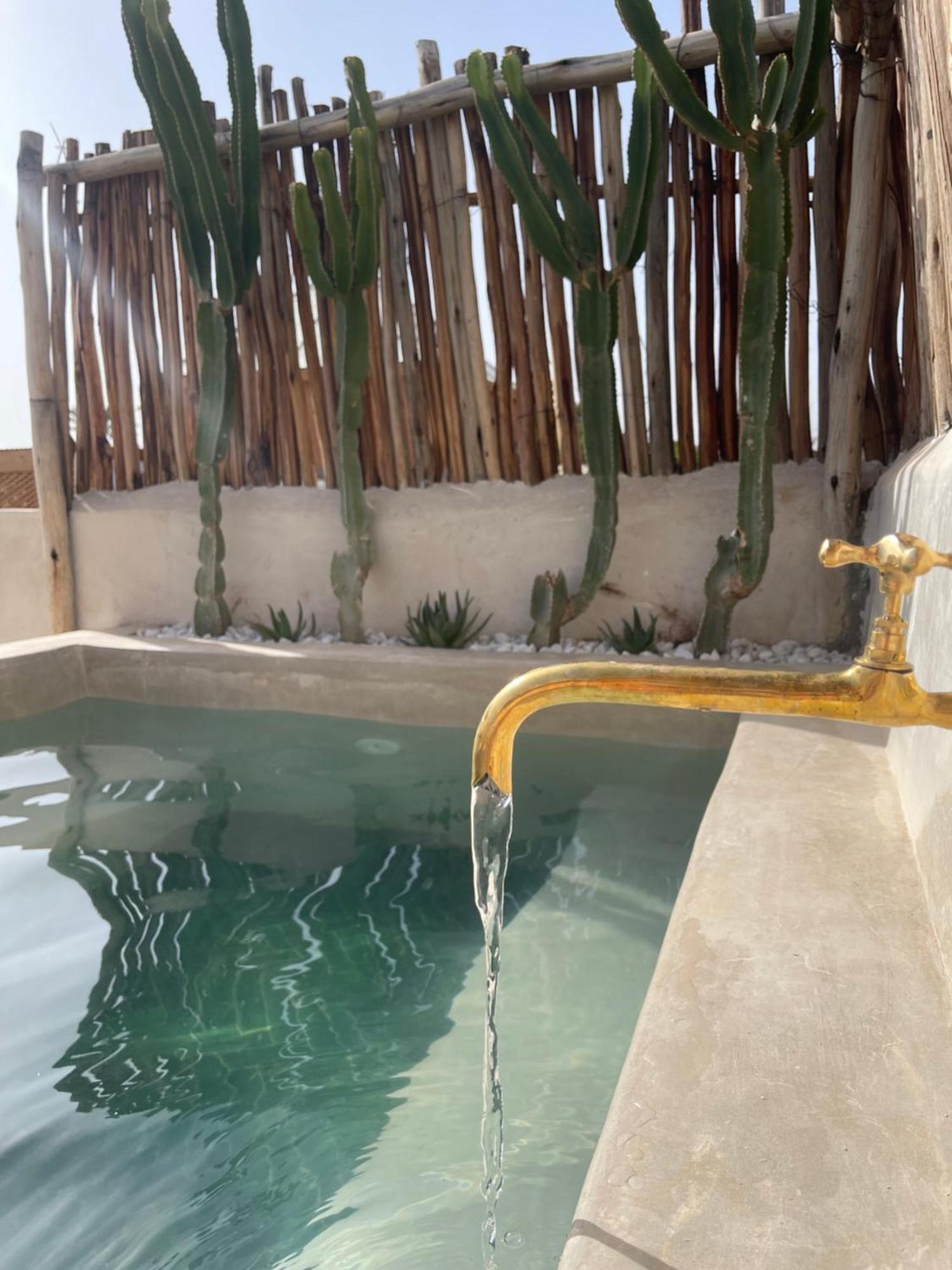 מרקש Riad Nekhla מראה חיצוני תמונה
